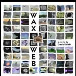 waxweb