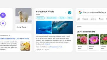 new-google-search-mobile-cover