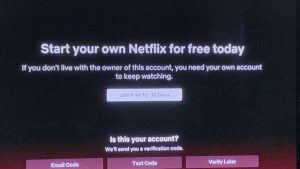 Netflix account